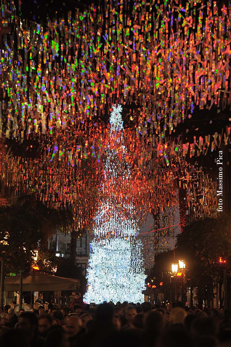 Si accendono le opere natalizie di Luci d'Artista: Albero di Natale, Foresta di Ghiaccio e Slitta