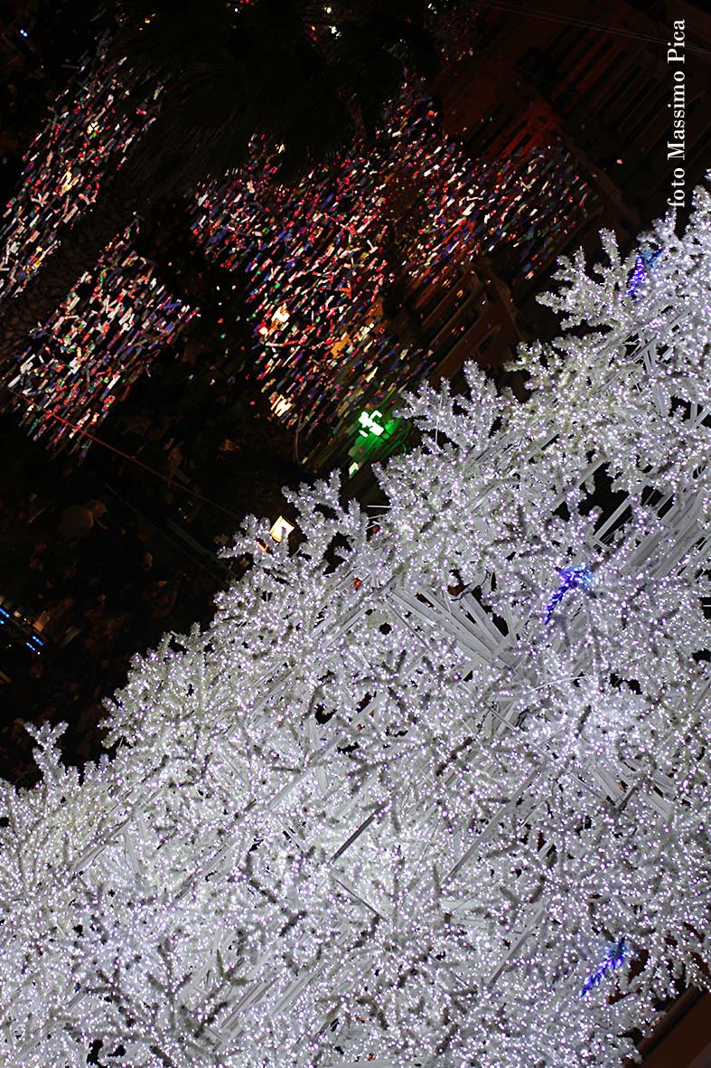 Si accendono le opere natalizie di Luci d'Artista: Albero di Natale, Foresta di Ghiaccio e Slitta