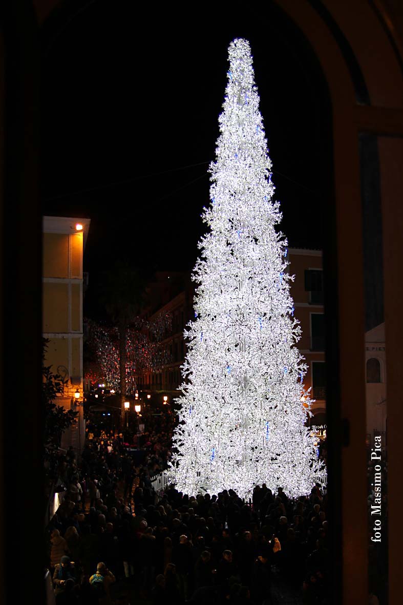 Si accendono le opere natalizie di Luci d'Artista: Albero di Natale, Foresta di Ghiaccio e Slitta