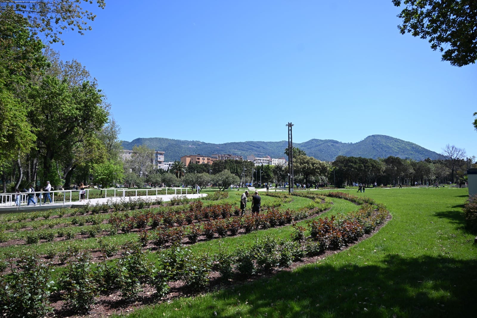 Parco del Mercatello