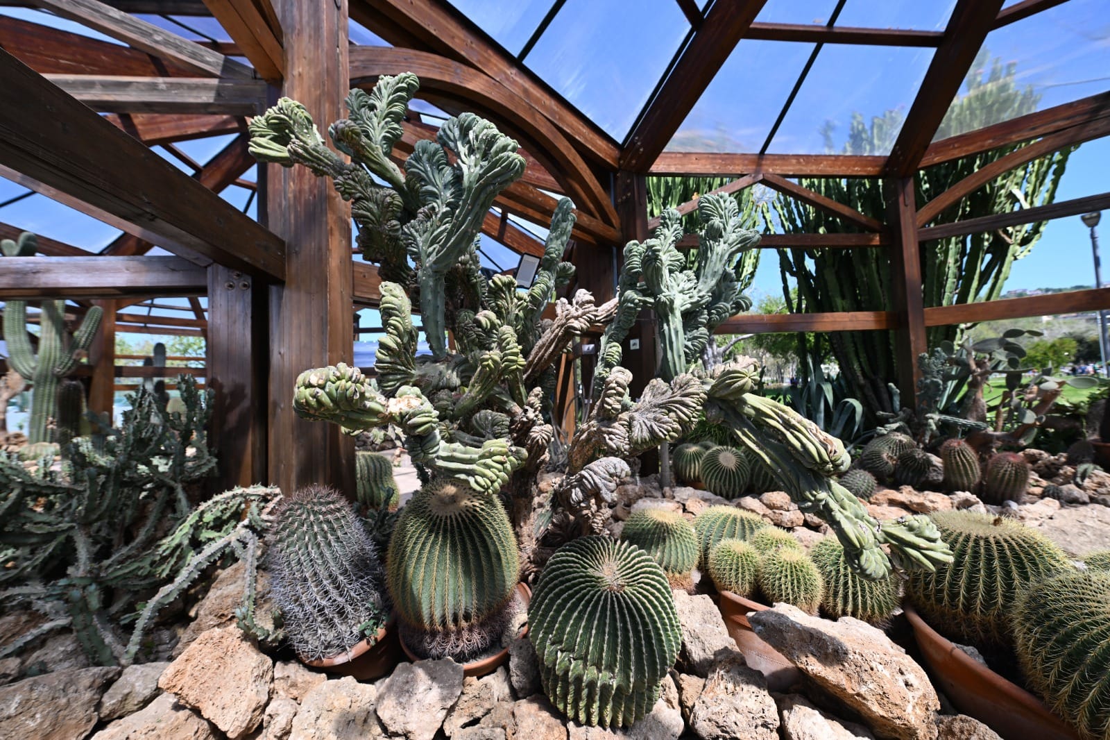 Parco del Mercatello