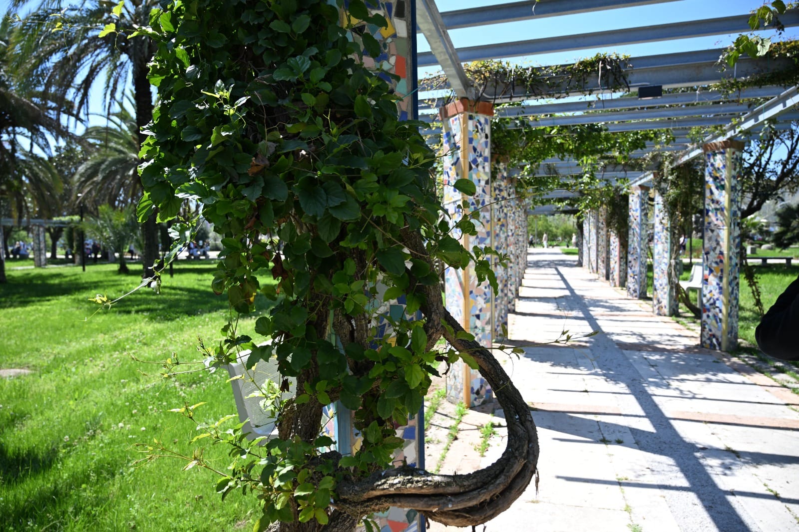 Parco del Mercatello