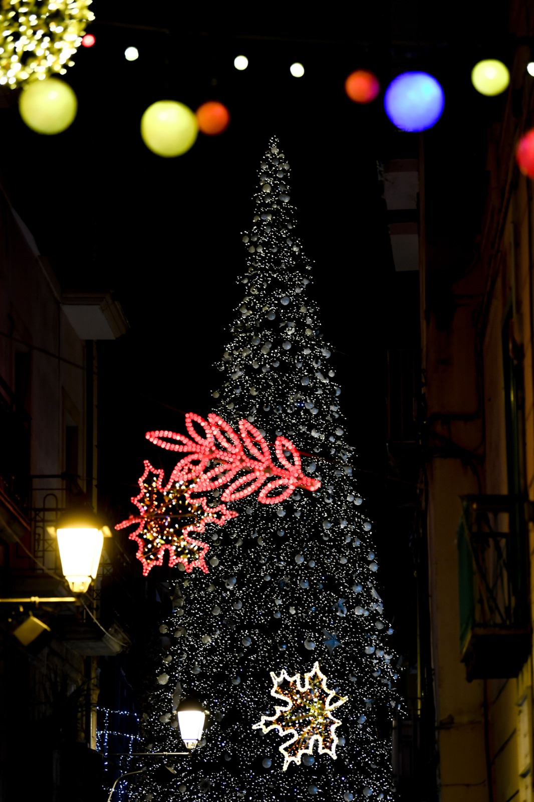 Luci d'Artista 2022-2023