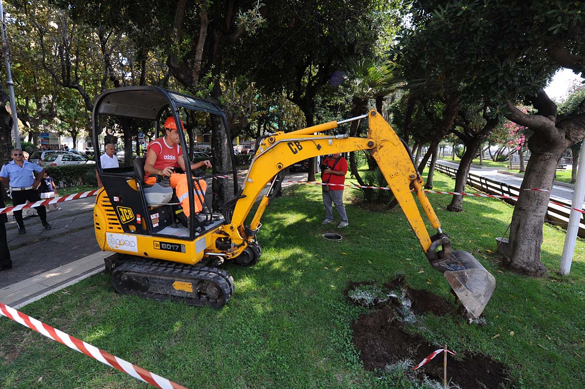 Al via i lavori per la ripiantumazione del palmeto del Lungomare Trieste